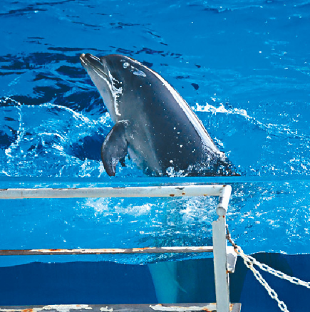 下关市立水族馆 “海响馆”