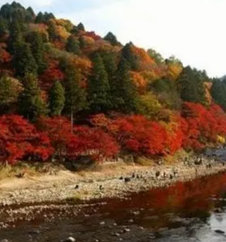 饭盛山