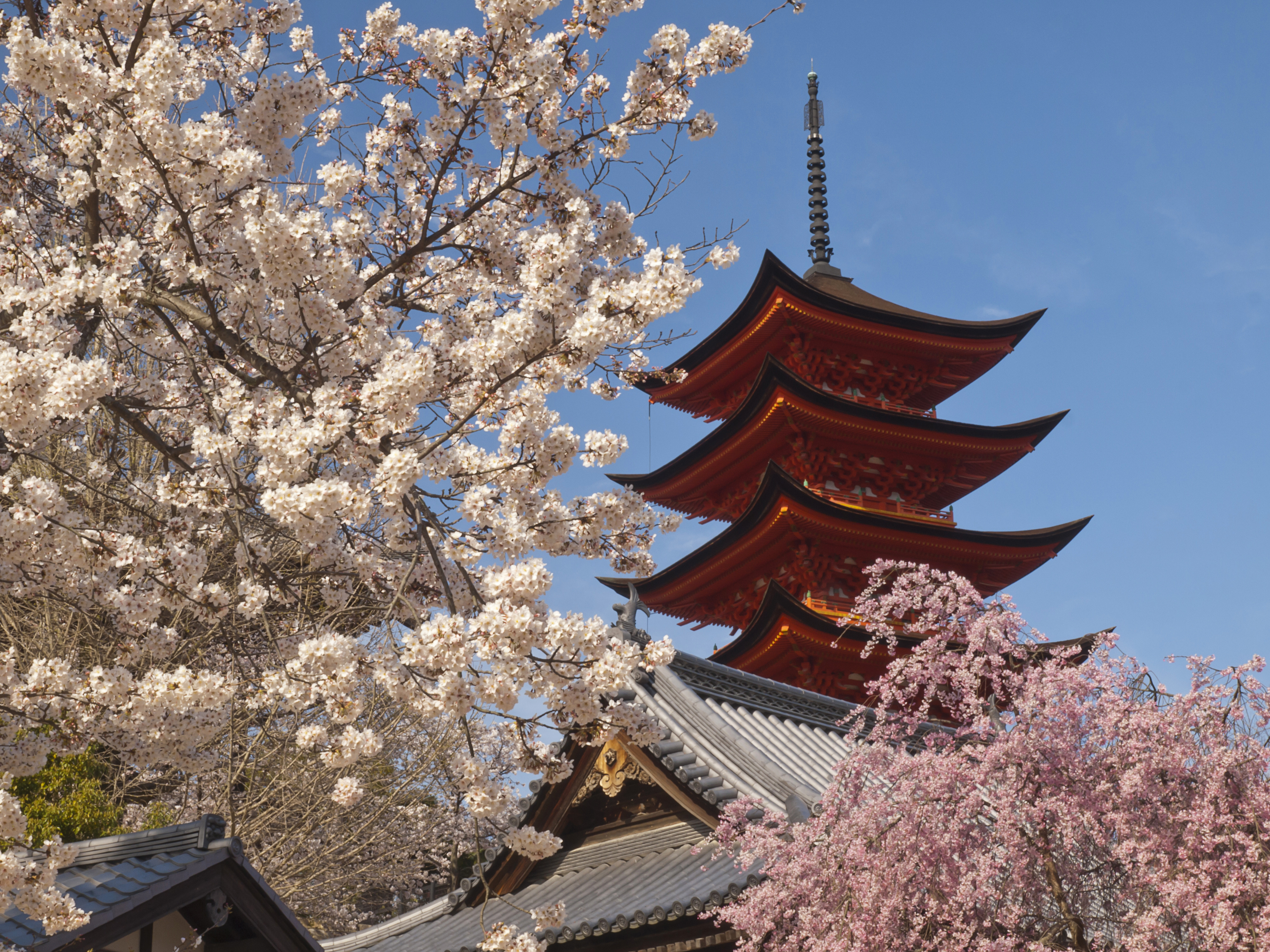 高岛宝当神社