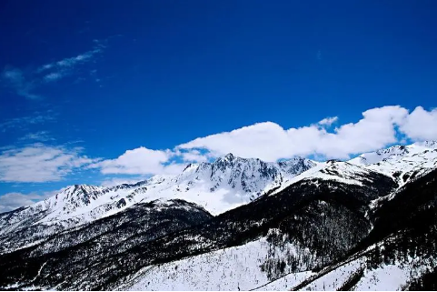 白马雪山自然保护区