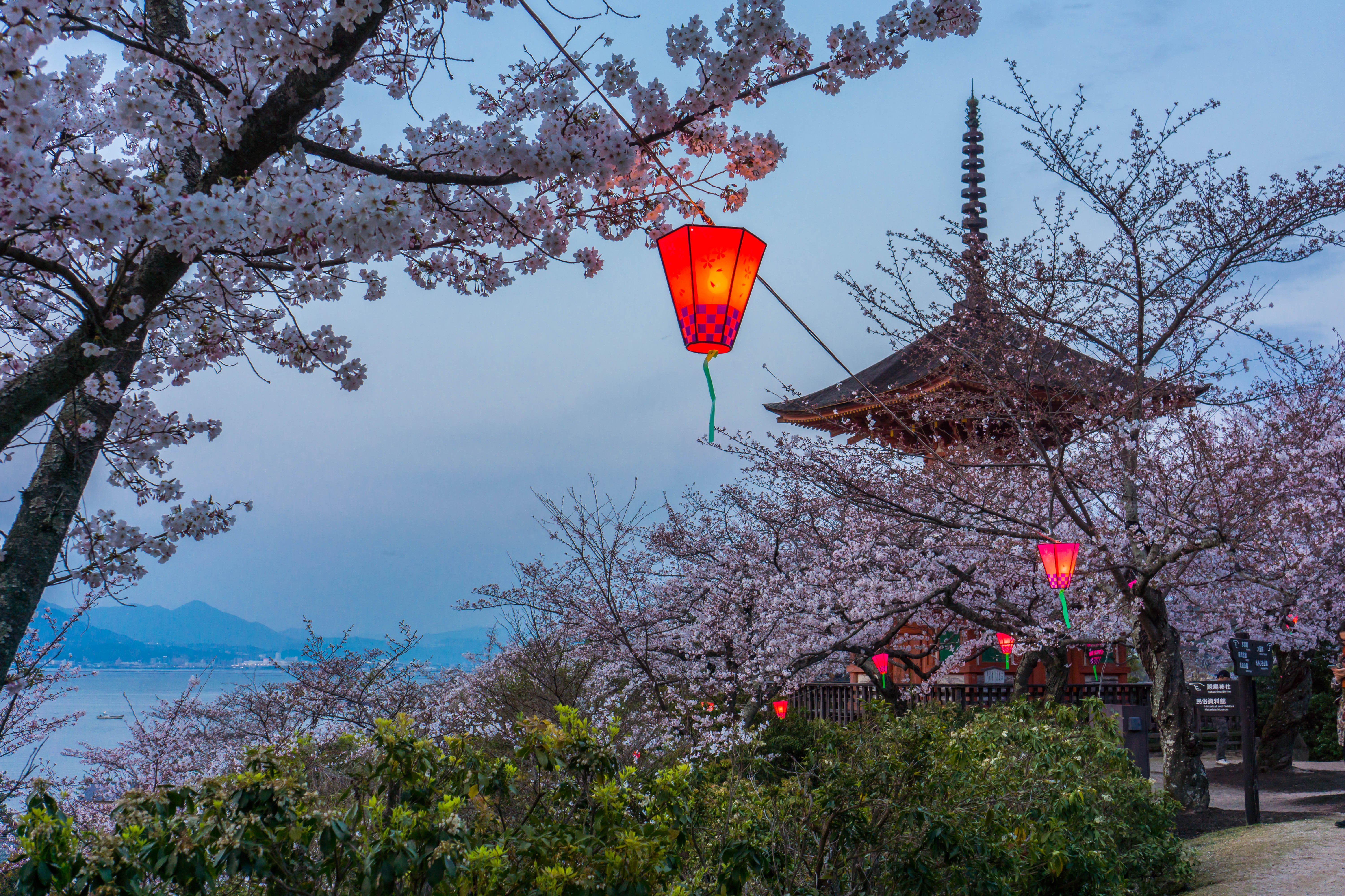 宫岛严岛神社