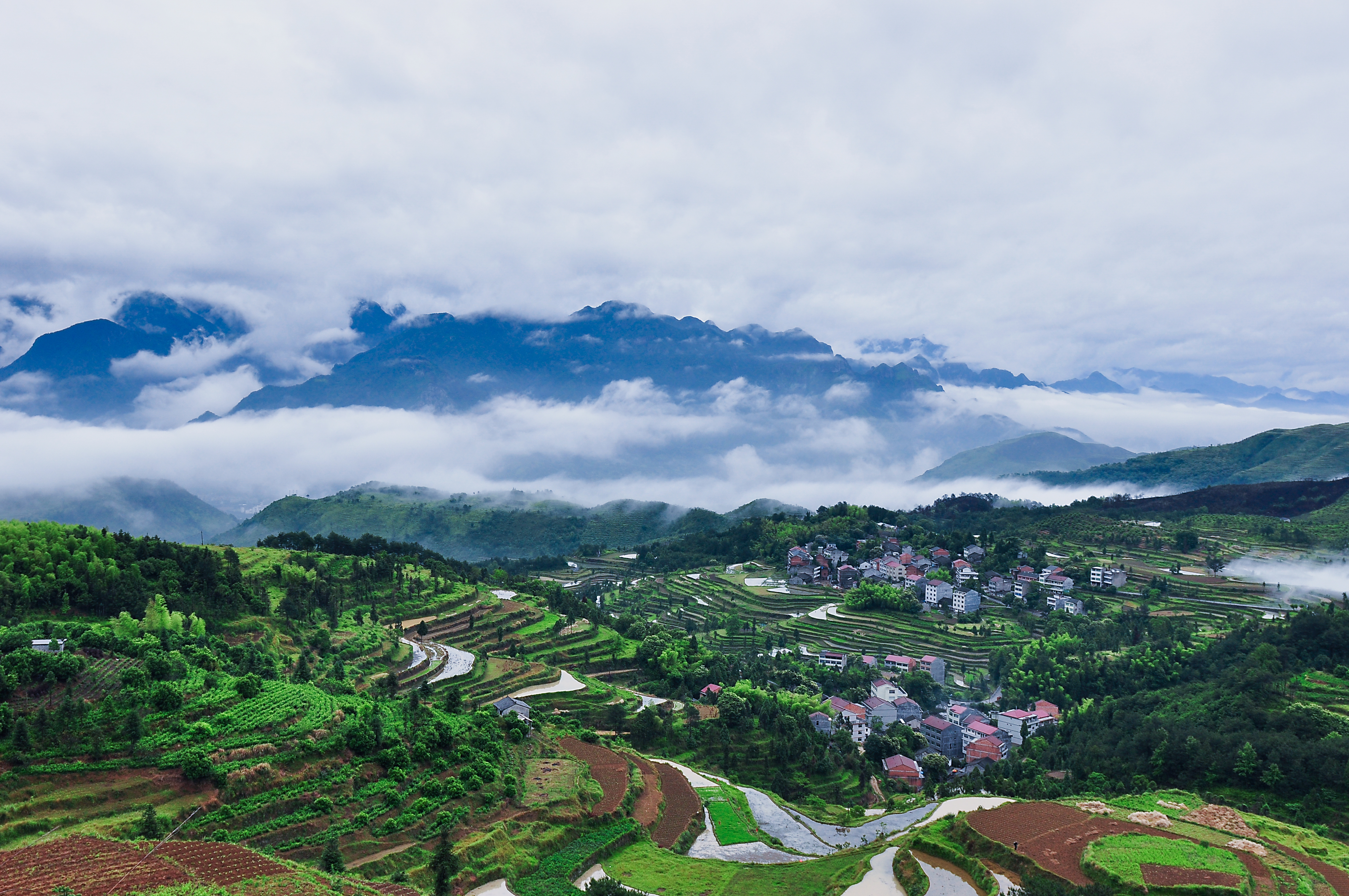 茗岙梯田