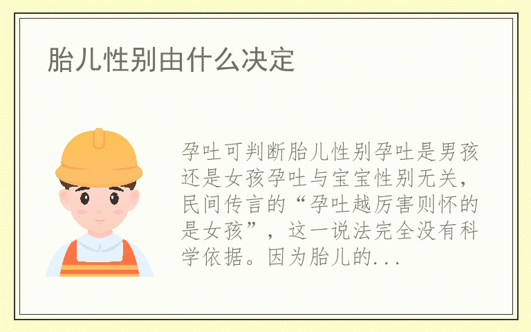 胎儿性别由什么决定