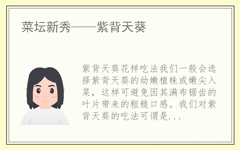 菜坛新秀——紫背天葵