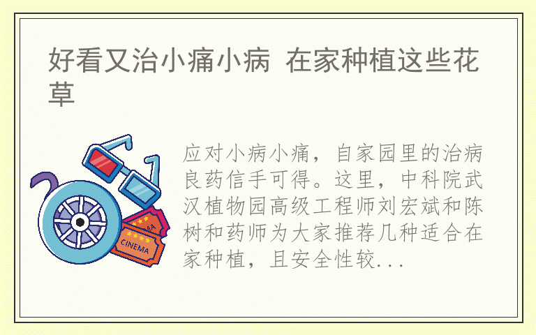 好看又治小痛小病 在家种植这些花草