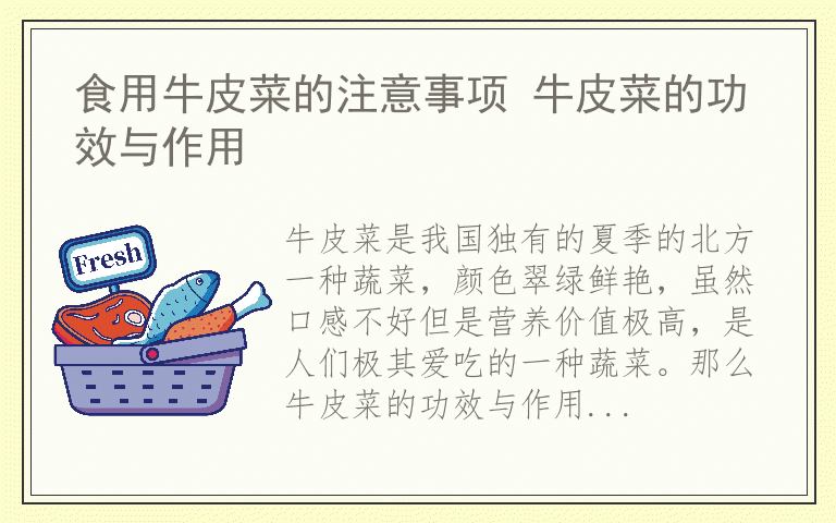 食用牛皮菜的注意事项 牛皮菜的功效与作用