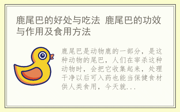 鹿尾巴的好处与吃法 鹿尾巴的功效与作用及食用方法