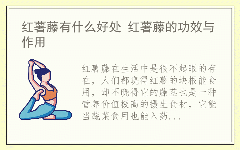 红薯藤有什么好处 红薯藤的功效与作用