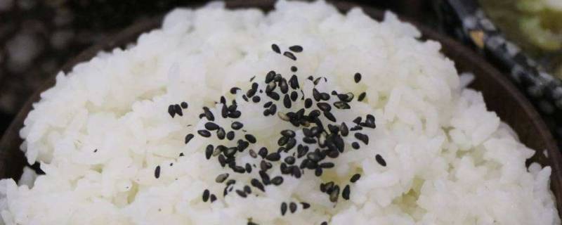 有多长时间可以把饭放进冰箱 饭放冰箱能放多久