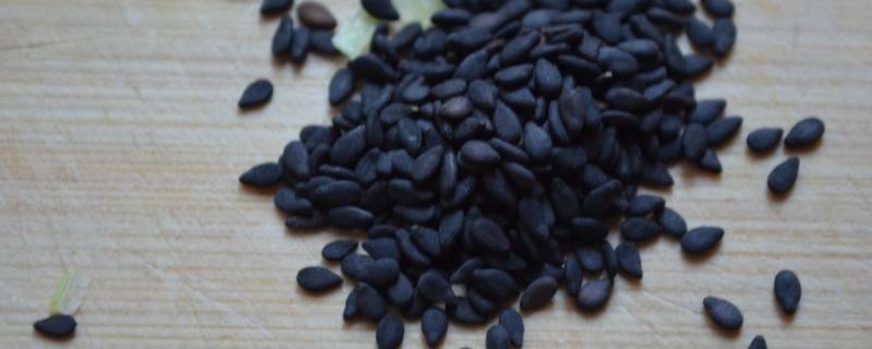 怎样洗芝麻 芝麻怎么洗