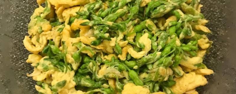 怎样准备夜香花才能变得美味 夜香花怎么做才好吃