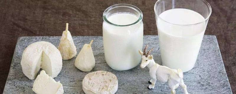 羊奶有何特殊功效有哪些禁忌 羊奶的功效与作用禁忌