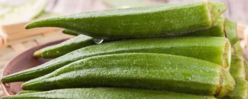秋葵变黑了还能食用吗 秋葵发黑了还能吃吗