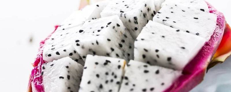 为什么火龙果发黄 火龙果发黄怎么回事