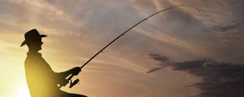 你建议钓草鱼的最佳位置是在水库的底部还是 水库钓草鱼钓底还是钓浮