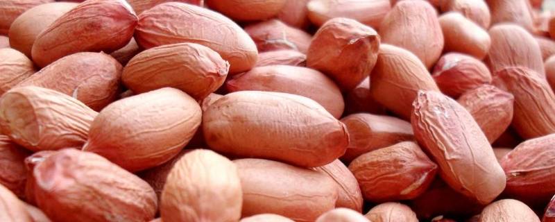 何种方式保存花生米 花生米怎么保存