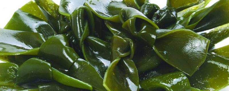 海带怎么泡制成盐渍食品 盐渍海带怎么泡发