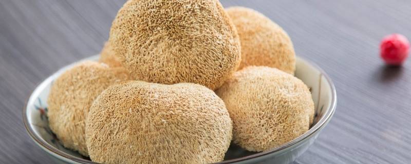 何时煮猴头菇 猴头菇泡多久