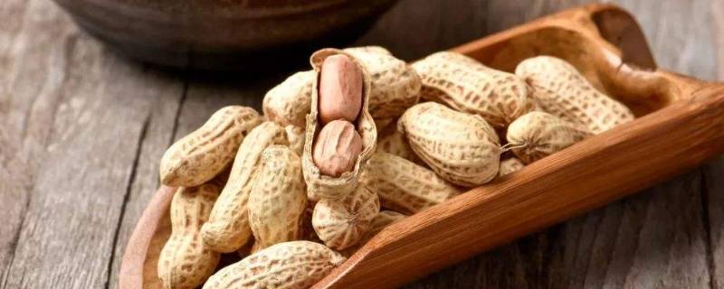 芽花生吃了有什么益处 吃出芽的花生有什么好处