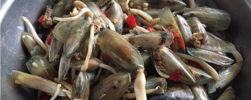 海豆芽有什么用处 海豆芽是什么东西