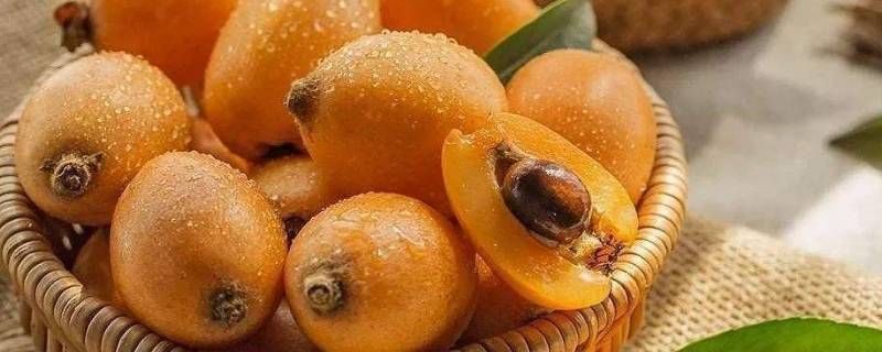 枇杷皮和核能可以用来煮水喝吗 枇杷皮和核能煮水喝吗