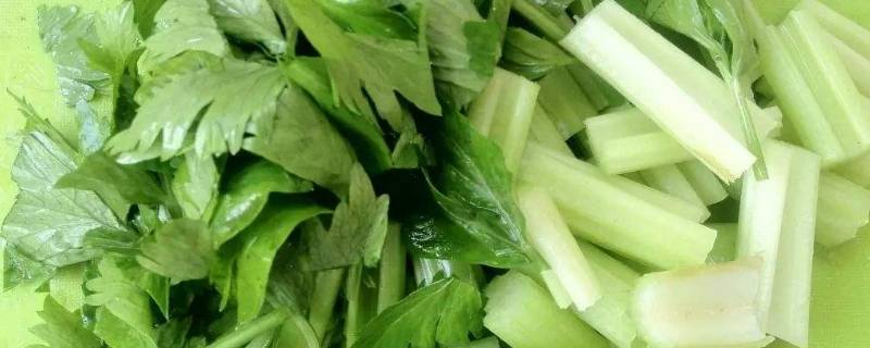 择波菜和芹菜需要去掉什么 择波菜和芹菜时应去掉什么