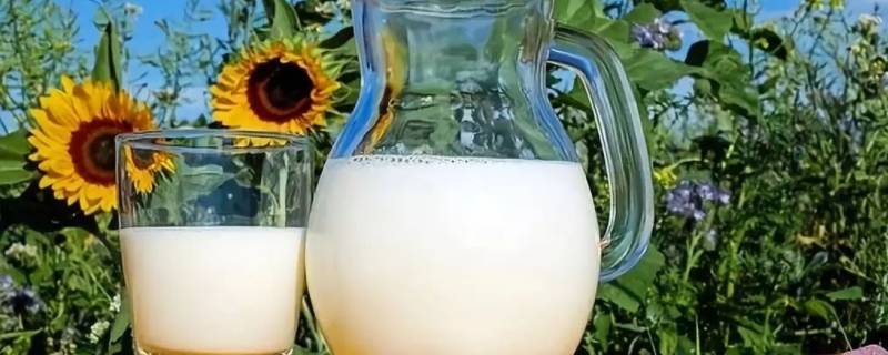 牛奶加水有什么作用 牛奶加水可以喝吗