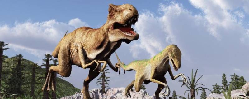 霸王龙的外形有哪些特点 霸王龙的外形特点