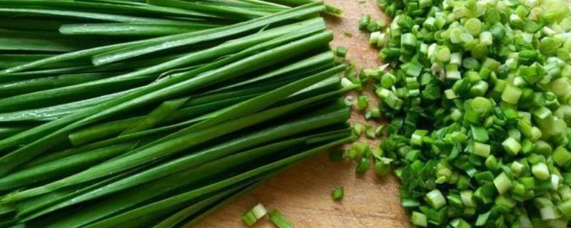 韭菜不见光就能变成韭黄吗 韭菜不见光就是韭黄吗