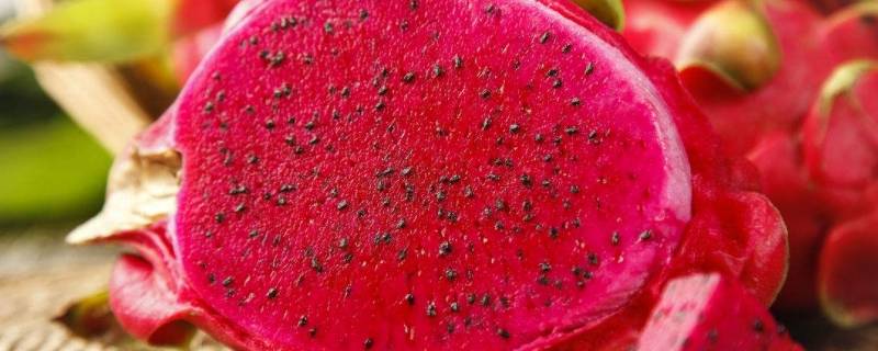 你需要把火龙果籽去掉吗 吃火龙果要把籽去掉吗