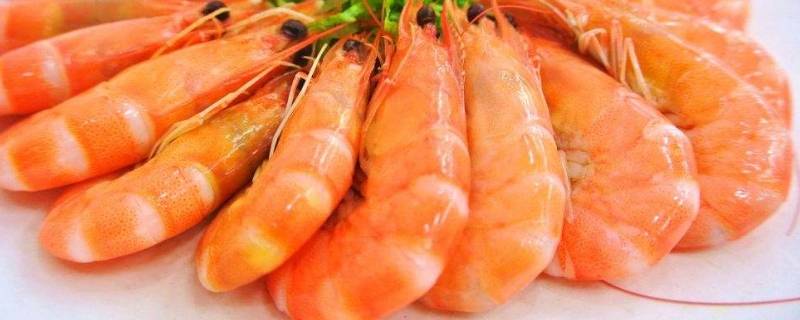 为什么虾肉粘壳 虾肉为什么粘壳