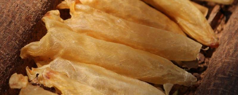 红参可不可以炖花胶 花胶可不可以炖红参