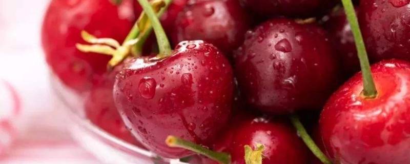 樱桃能乘坐飞机携带5斤吗 5斤樱桃可以带上飞机吗