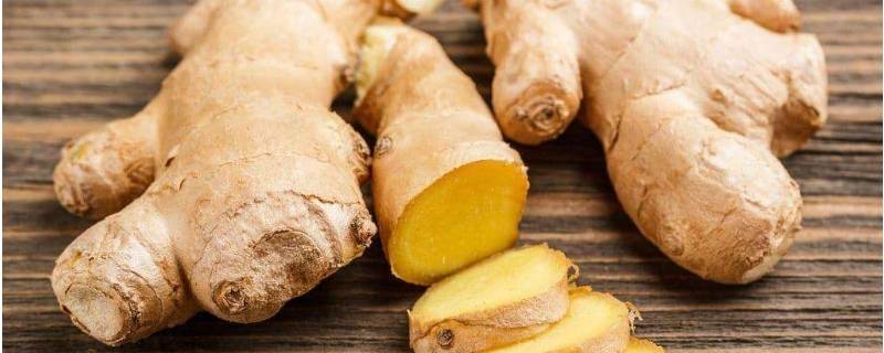 你应该将生姜擦在脚底的哪个部位 生姜擦在脚底什么位置