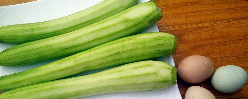 有何不同之处的胜瓜与丝瓜 胜瓜和丝瓜区别