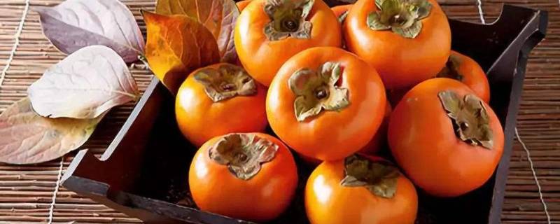 柿子泡好后怎样才能变得更甜更脆 柿子怎么泡更甜更脆呢