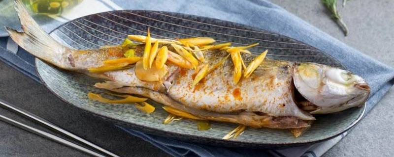 乌头鱼有哪些营养价值 吃乌头鱼有什么营养价值