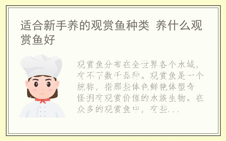 适合新手养的观赏鱼种类 养什么观赏鱼好