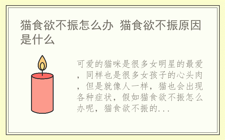 猫食欲不振怎么办 猫食欲不振原因是什么