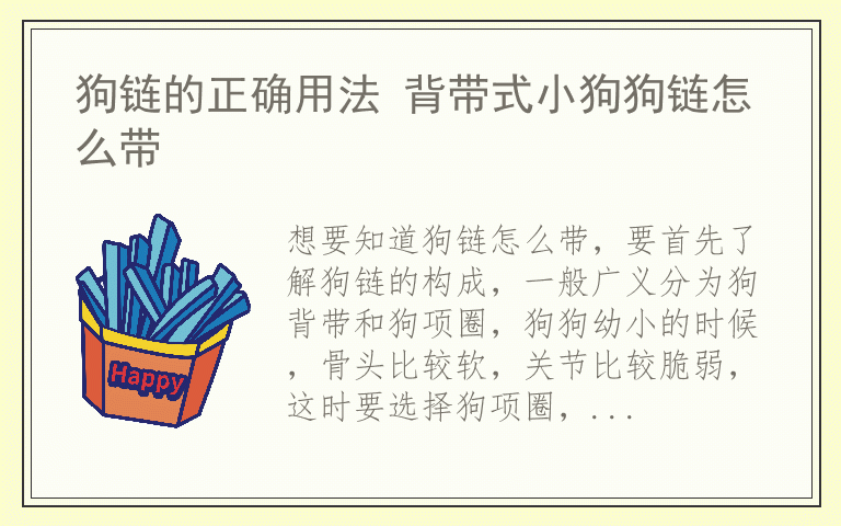 狗链的正确用法 背带式小狗狗链怎么带
