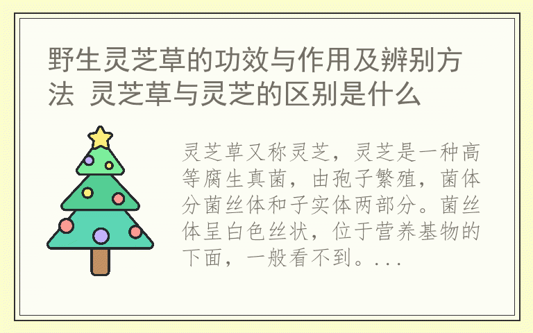 野生灵芝草的功效与作用及辨别方法 灵芝草与灵芝的区别是什么