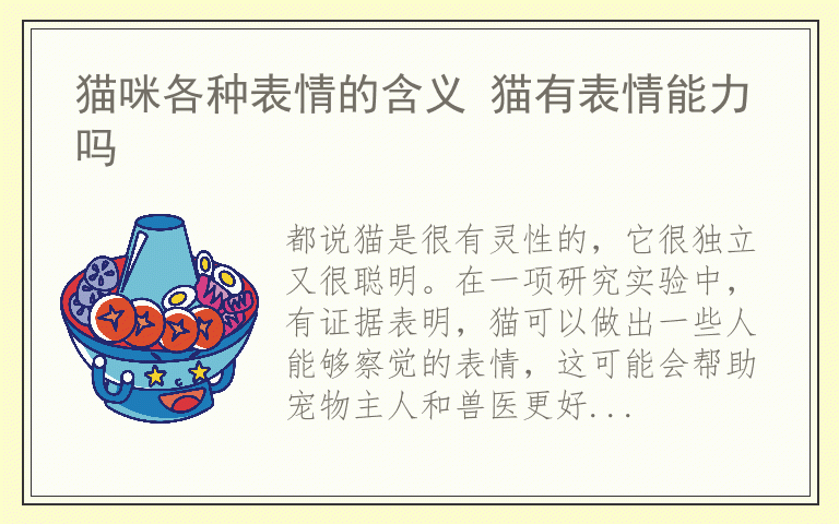 猫咪各种表情的含义 猫有表情能力吗
