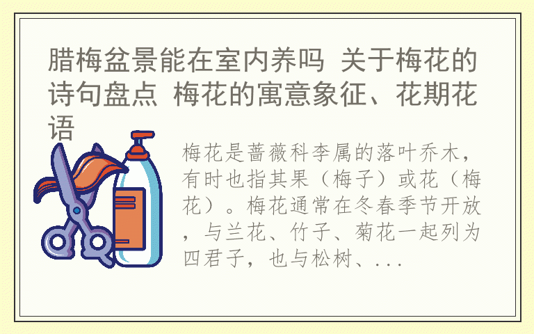 腊梅盆景能在室内养吗 关于梅花的诗句盘点 梅花的寓意象征、花期花语
