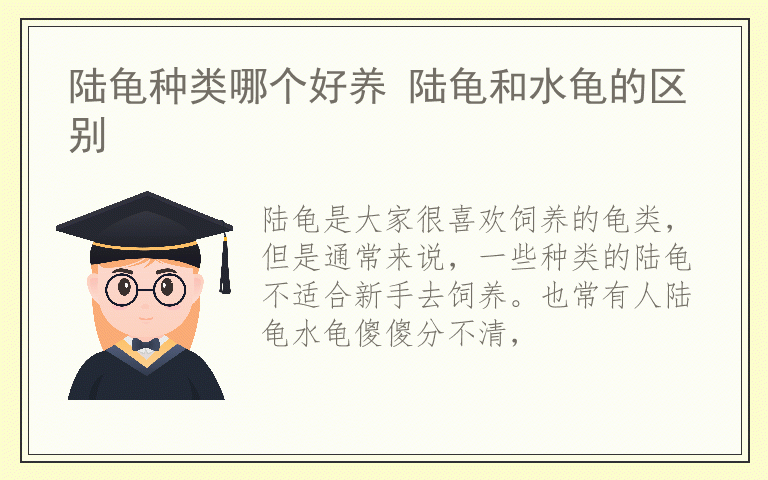 陆龟种类哪个好养 陆龟和水龟的区别