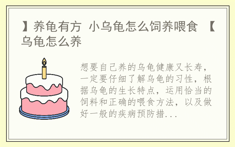 】养龟有方 小乌龟怎么饲养喂食 【乌龟怎么养