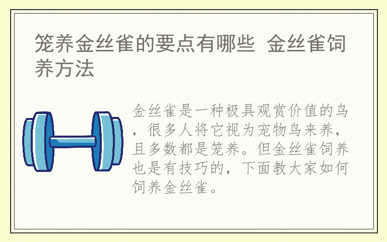 笼养金丝雀的要点有哪些 金丝雀饲养方法