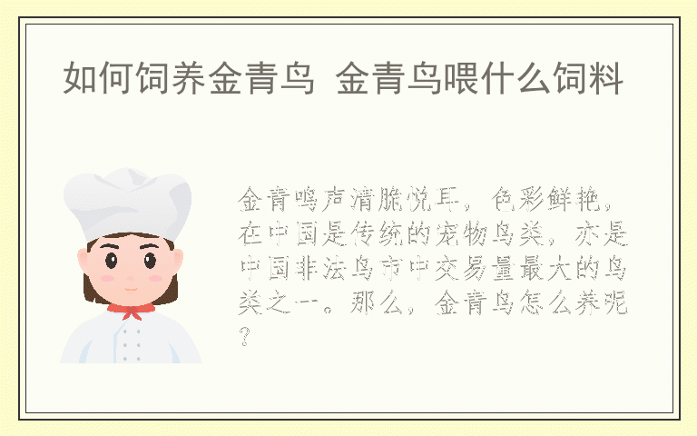 如何饲养金青鸟 金青鸟喂什么饲料