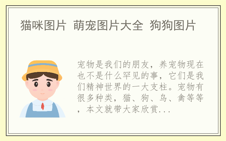 猫咪图片 萌宠图片大全 狗狗图片