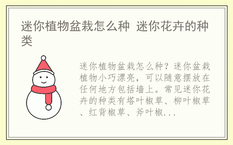 迷你植物盆栽怎么种 迷你花卉的种类