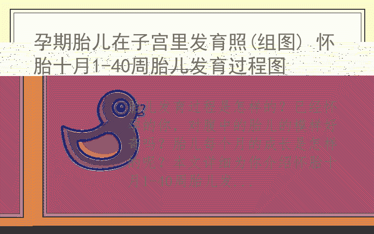 孕期胎儿在子宫里发育照(组图) 怀胎十月1-40周胎儿发育过程图